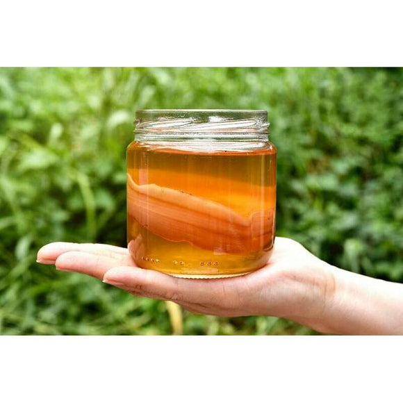 Craft & Culture - Kombucha, Kefir & Probiotics Singapore,Workshops:[NEW VIRTUAL CLASS] Kombucha Workshop - MASTERCLASS,6 Nov 2021 (Sat) 9am-11.30am