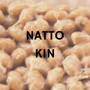 Craft & Culture - Kombucha, Kefir & Probiotics Singapore,Workshops:Starter Cultures for Natto,20g