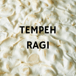 Craft & Culture - Kombucha, Kefir & Probiotics Singapore,Cultures:Starter Cultures for Tempeh (Ragi),25g